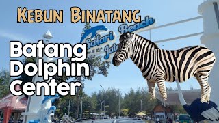 Menikmati Batang Dolphin Center - unit Taman Safari Indonesia part 1 #zoo #zebra