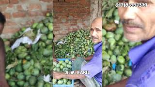 চাঁপাইনবাবগঞ্জ এর বর্তমান Price of🥭 Mango. & কয়েকটি আমের বিশ্বস্ত আমের আড়ৎ।