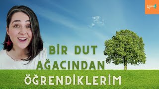 DOĞA VE İNSAN (YAŞANMIŞ GERÇEK BİR HİKAYE)