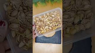 "Upcycling Cardboard and Pistachio Shells into Crafts!"#craft #diy