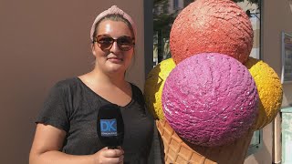 "Eis, Eis Baby": DK-Redakteurin schleckt sich durch die Eisdielen in der Ingolstädter Innenstadt