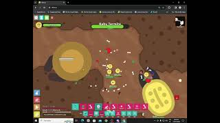 (florr.io) getting my 2nd ultra carrot by killing super baby termite.