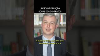 Liberdade e função social dos contratos