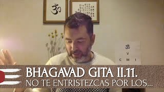 BHAGAVAD GITA 2.11 | No te entristezcas por los que se han ido (capítulo 2, verso 11)