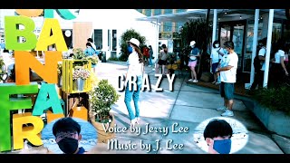 Crazy - Jerry Lee (LEE Brothers) Starring Fifi (Cover) #kennyrogers #oldisgold #evergreenhits