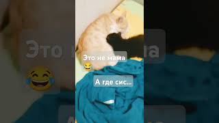 Он мальчик 😡