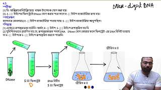 Avery et al experiment