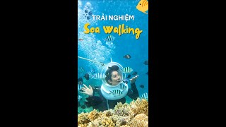 ĐI BỘ DƯỚI BIỂN - SEA WALKING LÀ GÌ? | 3N2Đ NHA TRANG