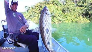 PESCARIA NO INVERNO !! ÁGUA GELADA, PIAU NA LINHA !!