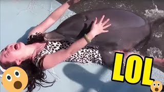 ANG BRUTAL NA PAG ATAKE NG DOLPHIN SA MGA TAO | Dolphin attacks Human