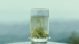 My Hangzhou Stories：A brief history of Longjing Tea