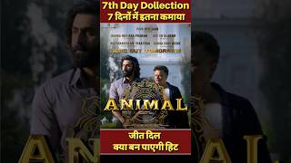 Animal 7th day collection, Animal movie collection 7th day, Ranbir Kapoor,