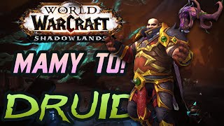 Lecimy od 0 do 60! - WoW: Shadowlands - Droga Druida - Ostatni