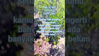 Bertambahnya Ilmu #kalamnasehat #katamutiara #quetesbijak #islamicstatus #shortvideo