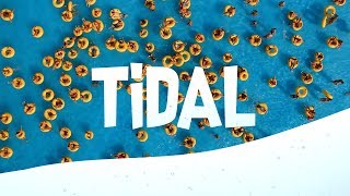 Tidal: 100 fun and colorful video transitions | RocketStock.com