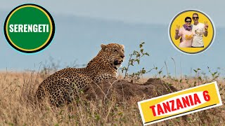 #Safari in Tanzania 6: leopardo nel #Serengeti e Mbugani Camp