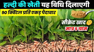 हल्दी की उन्नत खेती🌱Haldi ki kheti kaise karen🤑 Turmeric farming 2024/25 A to Z video