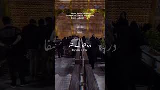 Imam Ali Raza ki wiladat Mubarak💚 #birthanniversary #iran #subscribe #share #shorts #imamraza