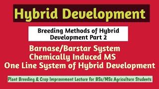 Methods of hybrid development part 2| Barnase barstar system| chemically induced GMS|one line system