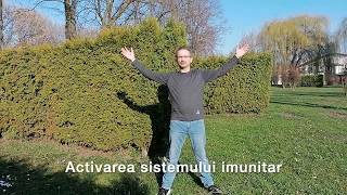 Activare sistemului imunitar