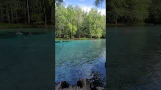 So Calming,Gilchrist blue springs #springs #getawayideas #selfcaresecrets