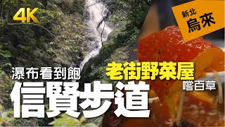 烏來信賢步道超多瀑布【吃】老街野菜屋彷彿神農嚐百草 - 新北一日遊