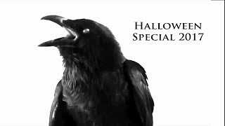 Oracle TV's Halloween Special 2017, Part One - Lucya Starza