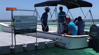 Stingray City Antigua