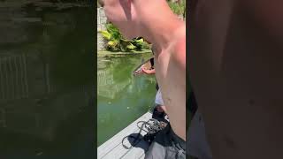 Catfish release