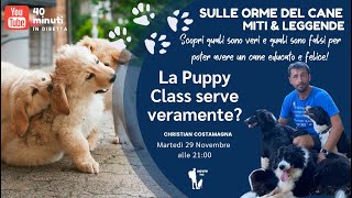 Sulle Orme del Cane - MITI E LEGGENDE: La Puppy Class serve veramente?