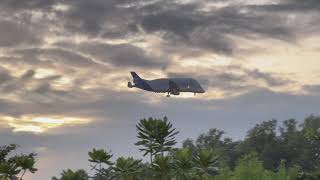 Airbus A300-600ST Beluga F-GSTC landing (Singapore)