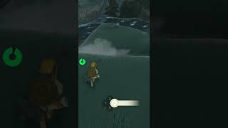 Keese eye running for his life... #shorts #botw #botwshorts #nintendo #zelda #gaming