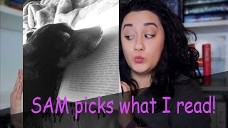 My Dog Picks My TBR!