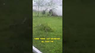 During the Storm - Hurricane Ian - Video 1 #shorts