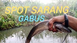 Spot simpanan jagoan mancing terbilang angker siapa berani coba banyak ikan moster nya