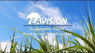 EAVISION Agriculture Drone Sugarcane Plant Protection Verification