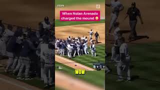 The Most Chaos I’ve Ever Seen At A Baseball Game