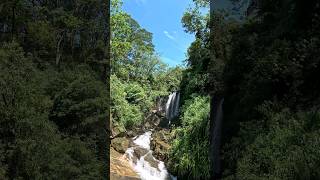 නම දන්නවද මේ ඇල්ලේ?😱#shortsviral #shortsviral #srilanka #waterfall #minivlog #travelvlog #trending