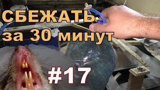 #17. Охота на КРЫС с комплексом “HWRAT-HUNTER“. Сбежать за 30 минут