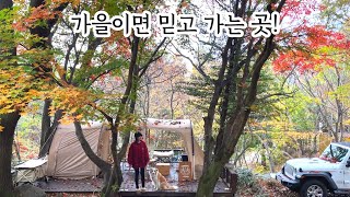 단풍숲속 낙엽벼락 맞으며 가을캠핑🍁 / 알려지지 않은 단풍 명당자리 / 눈과 귀가  힐링되는 단풍캠 / 화목난로 / 귀뚜라미 새소리 귀호강