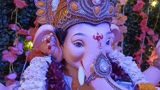 Ganpati bappa morya | गणपती बाप्पा | घरचा गणपती | माझा बाप्पा | Maza Bappa | Ganpti 2023