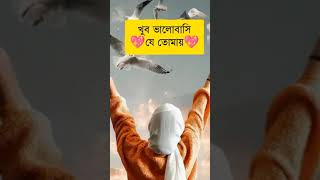 কষ্টের টিকটিক ভিডিও ভাইরাল টিকটিক লাইকি লেখা ভিডিও ভাইরাল #short #vairal_short #sad_status