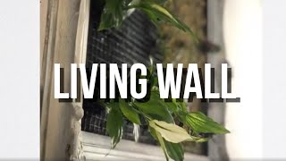 DIY Project greenwall - The Living Wall