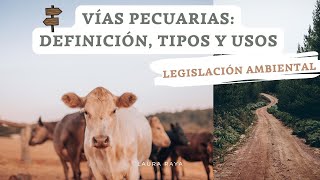 Qué son las VIAS PECUARIAS + TIPOS | Usos COMPATIBLES y COMPLEMENTARIOS | Legislación ambiental vvpp