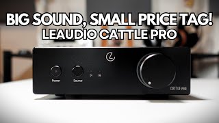 LEAUDIO CATTLE PRO REVIEW: A Budget Amp That Packs a Punch