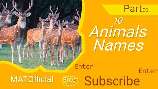 Part 01|| Animal Names // 10 Animal's Names