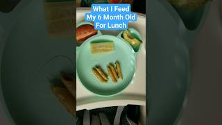 What I Feed My 6 Month Old For Lunch #babyledweaning #startingsolids #homemaker #momlife #MommyFever