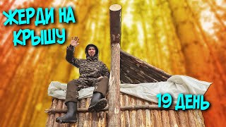 УКЛАДЫВАЮ ЖЕРДИ НА КРЫШУ. 19 ДЕНЬ СТРОЙКИ. SOLO BUSHCRAFT CAMP. BUILDING A HUT.