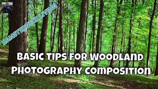 5 1/2 Tips To Make A Simple and Beautiful Woodland Photography Composition