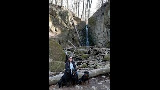 Excursion to Ilona Valley Falls with 3 Rottweilers